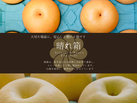 市場に出ない梨 ｜新水｜晴れ箱｜希少な早生梨・数量限定｜3kg（8~12玉）