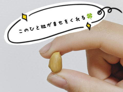 【未来をつくる笑み野菜】【ゲン担ぎ福袋】2990(福くる)季節のお野菜セット(8品〜9品程度)☆ラッキーピーナッツ入り✩