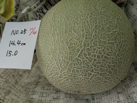 【10月末～収穫！！秋に美味しいメロンが食べられる！！】いつでも甘くておいしい大玉最高級メロン！「大利根ロマン 」予約