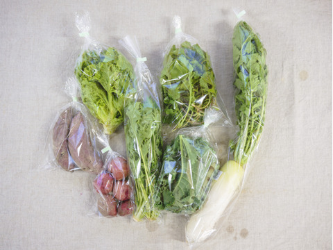 【抗酸化力に注目】オーガニック・野菜セット・７袋前後