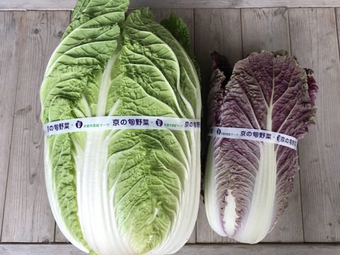 冬の京野菜セット８種🥬【漢方栽培】