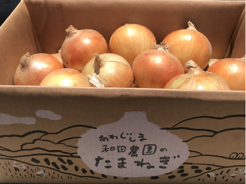 【朝市限定】【淡路島　和田農園】予約販売！大人気淡路島玉ねぎ3kgと特別栽培のお米2kg