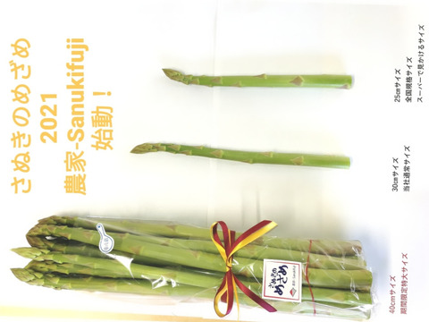 【美味しくいただきます様専用商品】超ロング約40cm、太〜い3L,2Lサイズ1kg 約15本　香川県産アスパラガス『さぬきのめざめ』