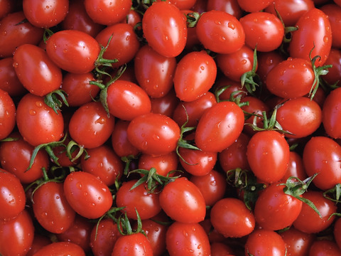 肉厚でジューシー！山の恵みがつくるアイコミニトマト (1kg)