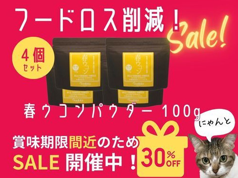 【賞味期限間近セール！】《１００g・４個セット》手軽に健康茶やお料理に！自然栽培 春ウコンパウダー 沖縄県産