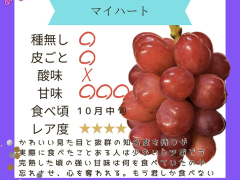 食べ比べ♡マイハート♡バイオレットキング♡つぶつぶパック1キロ♡山形県産ぶどう