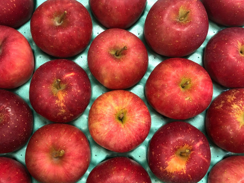 ほのか（早生ふじ）🍎家庭用約4.5Kg🍎青森県産　数量限定