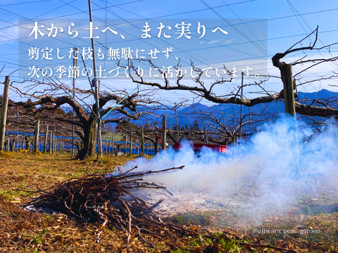 市場に出ない梨｜新水｜晴れ箱5kg・3日間限定出荷【夏ギフト】【贈答向】