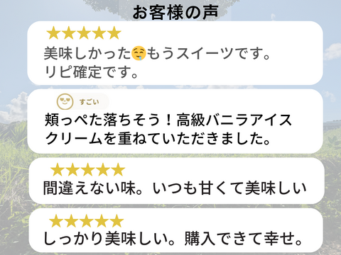 発送中🍠もはやスイーツ！ねっとり甘い安納芋Lサイズ２KG 焼き芋にピッタリ！五島の海水を使って育てました！農薬/化学肥料不使用 サツマイモ/さつまいも