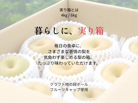 新水｜実り箱4kg｜幻の梨｜限定出荷　8月上旬〜【ご家庭向】