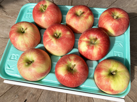 希少な特別栽培りんご🍎千秋（せんしゅう）3kg🍎甘酸っぱくて味が濃いりんご！農薬5割減&化学肥料不使用&ネオニコフリー😊葉とらずりんご🍎りんご好きさんへのギフトにもおすすめ🎁限定販売
