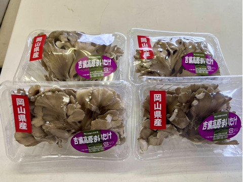 旬の深い味わい★【まいたけ 80g×10パック】岡山県吉備中央町産