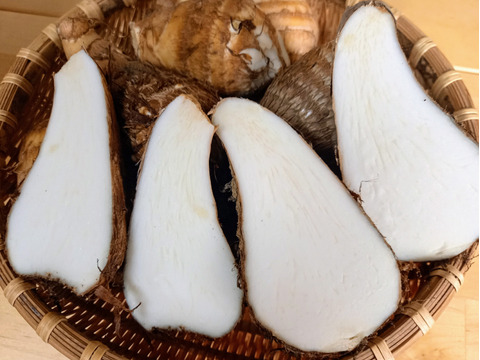 掘りたて！ねっとり&ほくほく！里芋『石川早生』　1.8kg