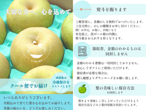 新水｜晴れ箱3kg（8~12玉）｜幻の梨｜限定出荷　8月上旬〜【夏ギフト】【贈答向】