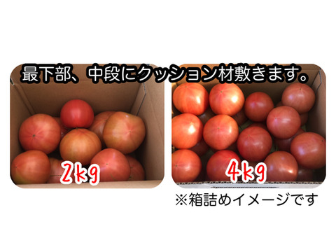 栃木県産 大玉トマト2kg