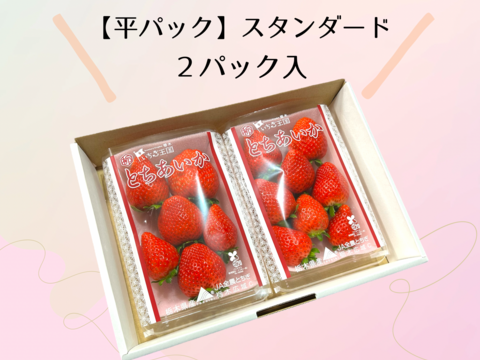 高糖度♡朝採れ直送🍓甘くてジューシー！【とちあいか】平パック2パック