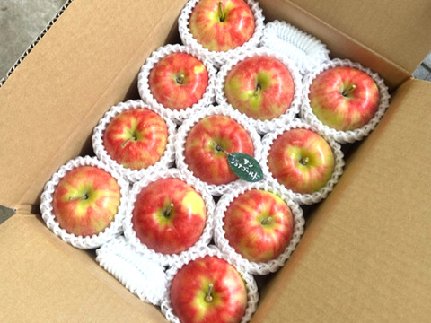 【人気品種】サンジョナゴールド🍎約3キロ 8〜11玉《家庭用》ID164802