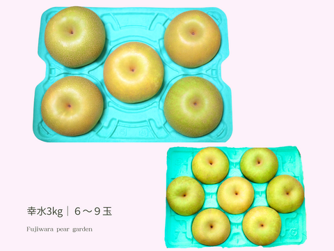 幸水｜晴れ箱3kg（6〜9玉）｜夏のご挨拶にそっと添える梨 ｜ 8月中旬順次発送予定【夏ギフト】【贈答向】