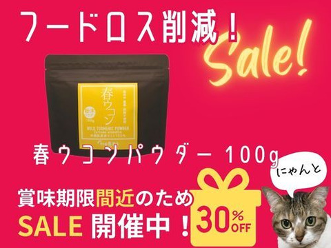 【賞味期限間近セール！】《１００g》手軽に健康茶やお料理に！自然栽培 春ウコンパウダー 沖縄県産