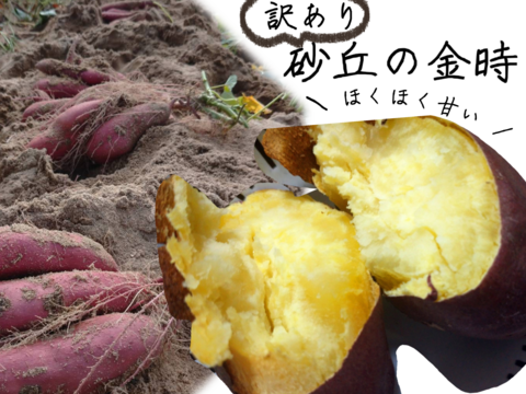 【訳あり】貯蔵期間2ヵ月ホクホク甘い！砂丘のさつまいも(４kg)