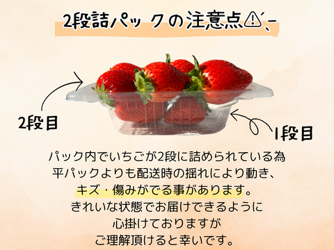 高糖度♡朝採れ直送🍓甘くてジューシー！【とちあいか】2段詰2パック