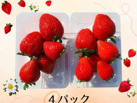 定番 高糖度♡朝採れ直送🍓甘くてジューシー！【とちあいか】2段詰4 果物