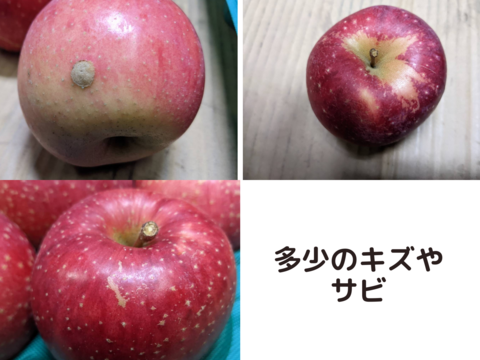 【ふじ】りんごの王様【家庭用3kg】