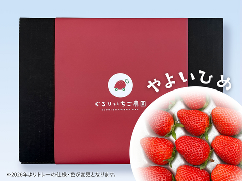 【ギフト・贈答用】とっても甘〜い大粒いちご！ぐんまが誇るやよいひめ！