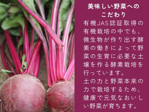 有機JAS認証取得『有機ビーツパウダー 50g』 野菜 パウダー オーガニック 農薬無散布 無添加 有機JAS認証取得