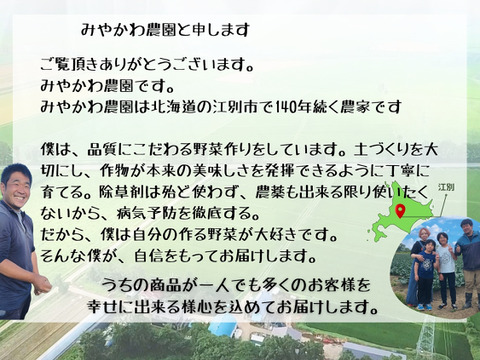 通常キャベツの３倍の重量！しかも甘い‼寒玉キャベツ4玉セット
