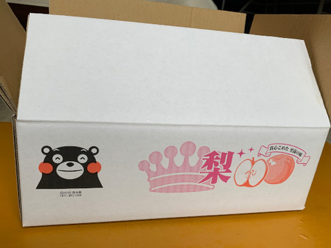 熊本県産　幸水　3ｋｇ（梨）