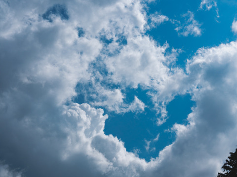 うまみと甘み　有機新じゃがいも 3kg｜アンデスレッド