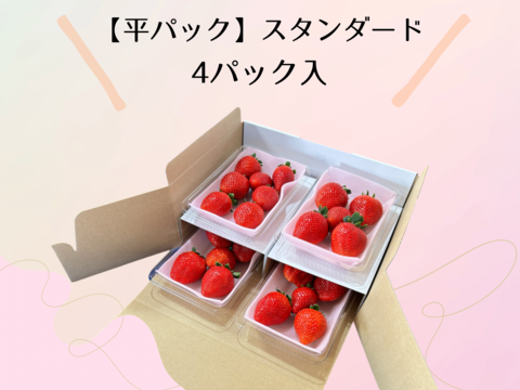 高糖度♡朝採れ直送🍓甘くてジューシー！【とちあいか】平パック4パック