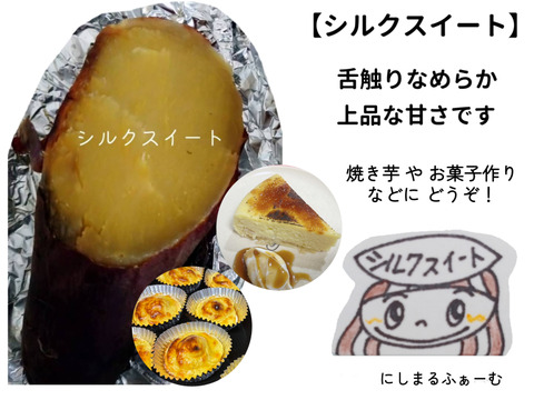 【貯蔵期間 約２か月経過】なめらか甘い砂丘のシルクスイート(３㎏)