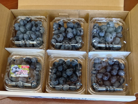農薬・化学肥料不使用】完熟！大粒ブルーベリー（生食用）100g