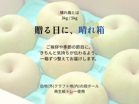 新高｜晴れ箱・3kg（5〜9玉）｜秋の贈り物に選ぶ梨・箱で届ける時間｜10月上旬頃から順次発送【贈答向】