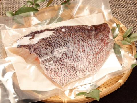 【業務用】沼津産真鯛フィレ　約300g×2袋　真空冷凍
