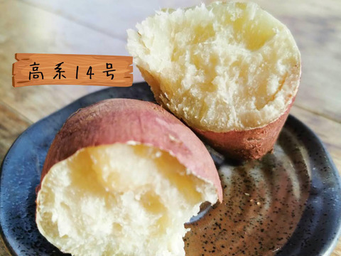 高系14号 ホクホク食感・栗のような甘みの島さつまいも 五島産 3kg