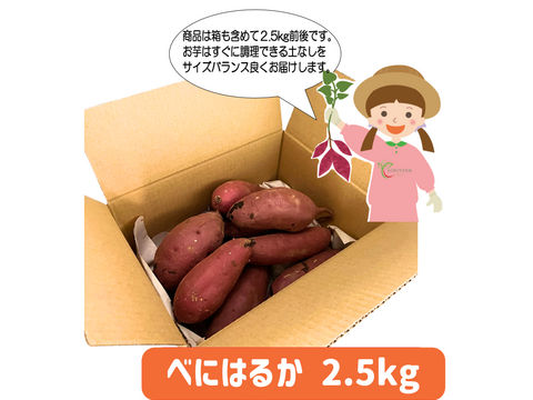 【母の日ギフト】💐おまけ付き💐 ① アグロファームの『紅はるか』母の日福袋 ① 100日間以上貯蔵 熟成芋!! 2.5kg!!!　　　ご自宅用にもオススメ💖