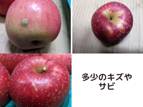 【雪中貯蔵りんご】小玉ふじ 家庭用 酸味が抜けて甘〜い 春にお届け 農薬60％減 1.5kg