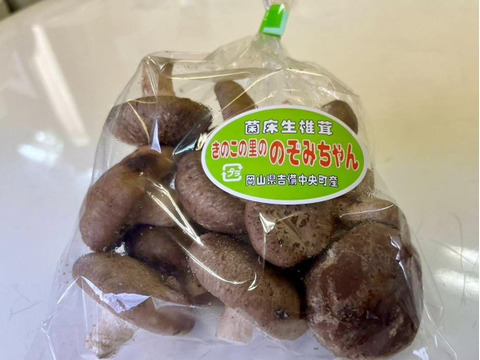 贅沢な旨味広がる★旬の【ちびっこしいたけ 150g×10パック】岡山県吉備中央町産