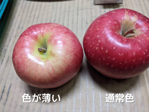 【雪中貯蔵りんご】小玉ふじ 家庭用 酸味が抜けて甘〜い 春にお届け 農薬60％減 1.5kg