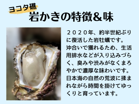 【夏期限定】ヨコタ礁天然岩牡蠣_生食用（中3個、大2個）詰合せ
