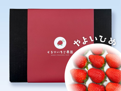 【ギフト・贈答用】とっても甘〜い特選大粒いちご！ぐんまが誇るやよいひめ！15粒