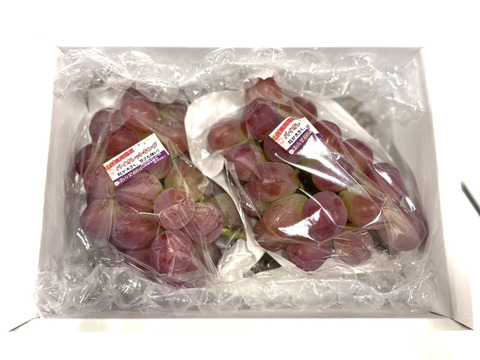 【ぶどうグランプリ2025🍇】入賞受賞商品★大粒で皮ごともOK！！バイオレットキング約1キロ　2～3房詰合せ