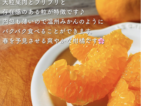 はるみまる搾りジュース（720ml×4本）：愛媛県産のみかん