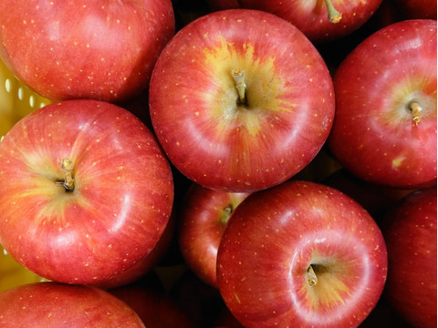 サクサク甘い シナノスイート5kg箱(13玉～20玉)