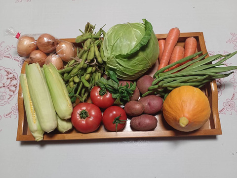 安心・安全な「夏」の旬のおまかせ野菜セット　７～８種類