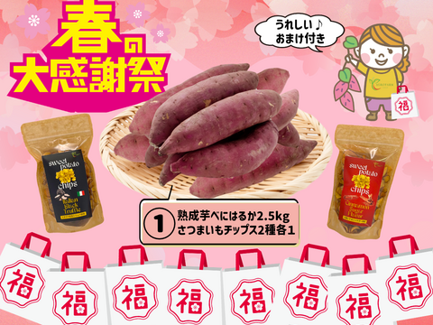 【春の福袋】🍠おまけ付き🍠 ① アグロファームの『紅はるか』大感謝福袋 ① 90日間貯蔵 熟成芋!! 2.5kg!!!