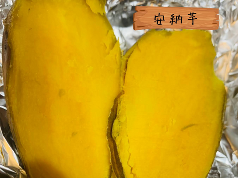 島さつまいも三彩セット 紅はるか/安納芋/高系14号 計２kg【ほくほく・ねっとり食べ比べ】